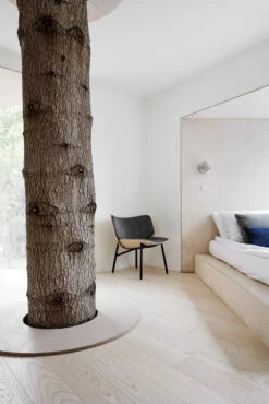 Hay Noc Wall Button Wandleuchte -Hay 503446 01 3 EnvironmentImage 0b3cf1ea48