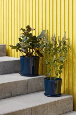 Hay Botanical Family Blumentopf XL Ø22cm -Hay 511220 01 4 EnvironmentImage eaa0820a8a